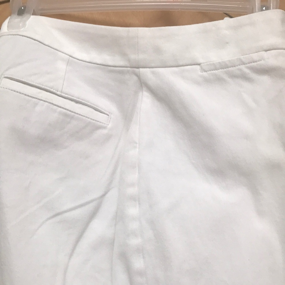 Talbots Curvy - Picture 3 of 5